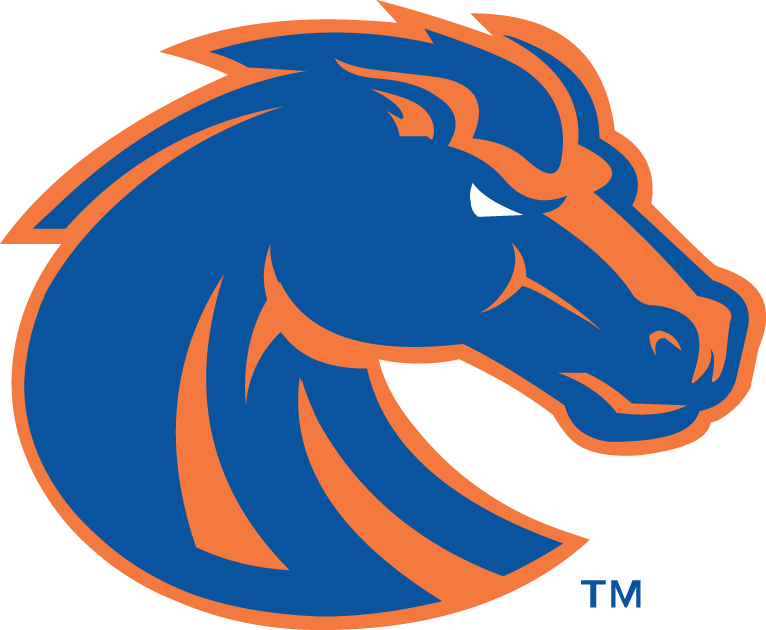 Boise State Broncos 2013-Pres Primary Logo iron on transfers for clothing